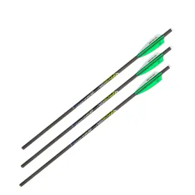 Moa100 Ac Allen 93230 Allenrazor Archery Crossbow Bolt 20-inch By 4 Pac