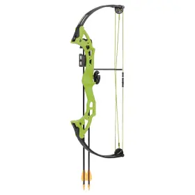 Ays300gr Bear Archery Brave Rh Green Youth Compound Bow Set