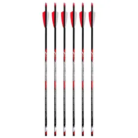 33825 Black Eagle Rampage 17/64 Inch Fletched Arrows 2.5 Shield 6 Pack
