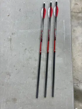 Bloodsport 042609001392 Hunter Carbon Crossbow Bolts 3 Pack 22 Inch Half Moon Nock