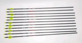 Carbon Express 044734506100 11 Speed Freak 55/70 Arrows 30 Inch New