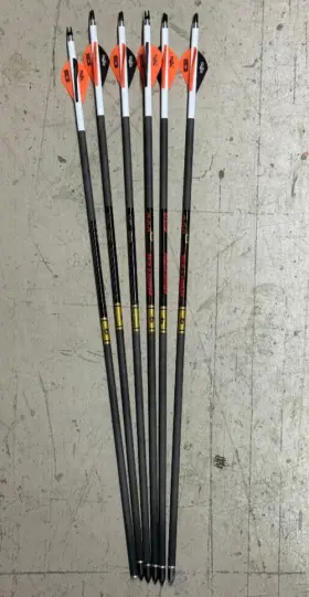 Gold Tip 791331876517 6 Custom Hunter 500 Arrows Fletched 2 Inch Blazer Vanes Wraps Nock/bushings