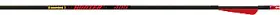 Gold Tip 791331876753 Hunter Arrows 340 4 Inch Vanes 6 Pk