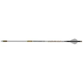 As250a26 Gold Tip Airstrike Arrows 250 Raptor Vanes 6 Pk
