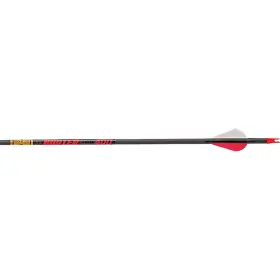 Hun300a2 Gold Tip Hunter Arrows 300 Raptor Vanes 12 Pk