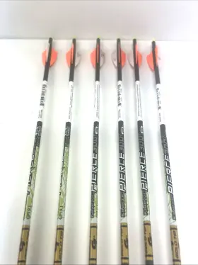 Pierce300a21629 Gold Tip Kinetic Pierce 300 30 Inch / Pierce300a21629/6 Arrows With Inserts 2.1 V