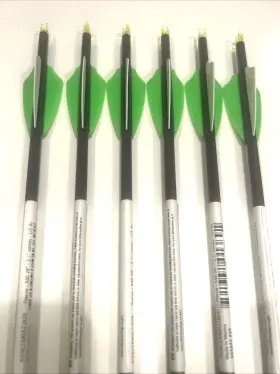 Pierce340a21629 Gold Tip Kinetic Pierce 340 29 Inch / Pierce340a21629/6 Arrows With Inserts