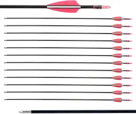 Arrow28 Nobrand 28 Inch Fiberglass Archery Arrows With Blunt Tips For Recurve And Long Bows 12-pack