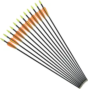 Ca-6875fg-or24 Nobrand Fiberglass Arrows 24-30 For Youth Recurvebow Compound Bow