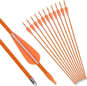 Ca-6875or-24 Nobrand Arrows 24-30 For Youth Recurvebow Compound Bow