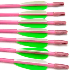 Gpp-6875-28-12 Nobrand 28-inch Fiberglass Archery Arrows For Recurve Bow Practice