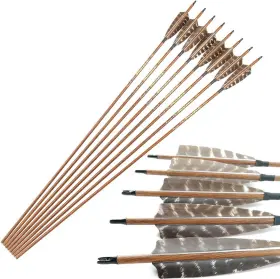 Kbmw1-400-12 Nobrand 30-32 Inch 300-600 Spine Carbon Arrows 12pcs