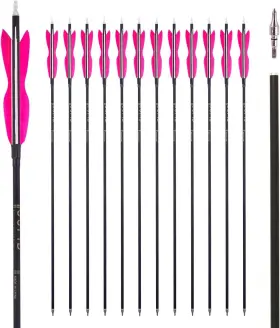 Lw-a01-mc Nobrand 31 Inch Carbon Arrows 5 Feathers Spine 500 Recurve/compound 12