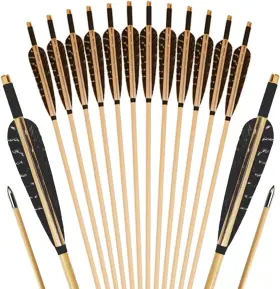 Lye2hmy Nobrand 12 Pcs Wooden Arrows With Feathers For Recurve Longbow 31in