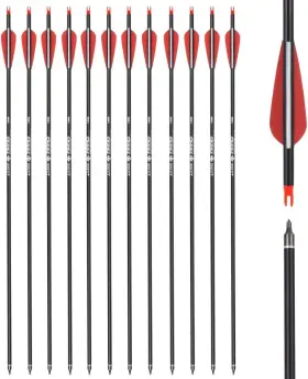 Ty-2219rw-28 Nobrand Hunting Arrows With 100 Grain Tips For Compound And Recurve Bows 12