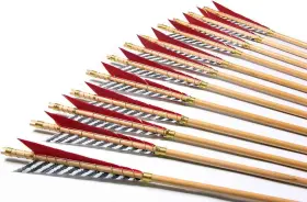 Wa013wr Nobrand Wooden Longbow Arrows With Turkey Feathers For Recurve And Traditional Bow