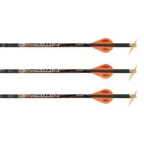 Ravin Crossbows 815942021347 Premium Match-grade Lighted Arrows - .001 400 Grain W/100