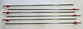 Gdvfs-350fb-6 Victory Techunter Series Carbon Arrows-350