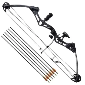 Vidaxl 718475923282 Adult Compound Bow With Accessories And Fiberglass Arrows