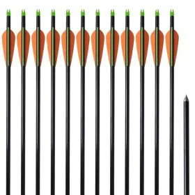 Vidaxl 718475923312 Standard Compound Bow Arrows 30 Inch 0.3 Fiberglass 12 Pcs