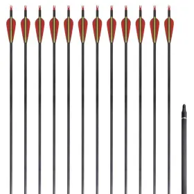 Vidaxl 718475923336 Standard Recurve Bow Arrows 30 Inch 0.3 Carbon 12 Pcs