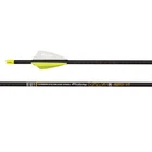 Victory Archery Elite Fletched Arrows (VAPSSE-250FX-6) New. Price: $154.99.
