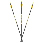 Carbon Express D-stroyer Small Diameter Arrows New. Price: $71.50.