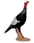 Delta 51440 New Alert Turkey. Price: $176.85.