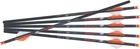 Crossbows R18 Arrow .003 6PK New. Price: $133.52.