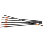 Centerpoint CP400 Select Carbon Arrows, Orange, 6-PACK (AXCCA20TPK) New. Price: $69.35.