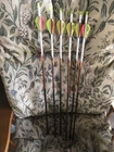 Black Eagle Outlaw 400 Factory Fletched (6 Arrows)- .005 Straightness New. Price: $40.00.