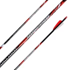 Black Eagle Rampage V2 .003 250 Spine New!!! Label 6-PK Fletched 2.5". Price: $89.99.