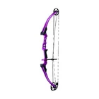Genesis Mini Bow Purple Lh New. Price: $246.68.