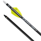 Tenpoint Evo-x Centerpunch 16 Carbon Arrows W/alpha-nocks .001 Wte HEA-750-36 New. Price: $719.99.