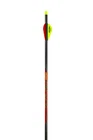 Black Eagle Outlaw 300 Spine Fletched Arrows, (.005, 6-PACK) New. Price: $73.99.
