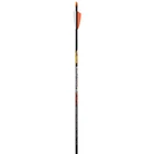 Black Eagle Arrows X Impact 300 .001 4MM Fletched 6PK 02195 New. Price: $139.99.