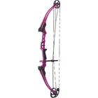 Genesis Mini Bow Purple Rh New. Price: $178.06.