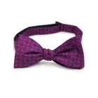 Sigma Phi Epsilon Sigep Fraternity Silk Bow Self-tie- Greek Letters-new!. Price: $16.88.