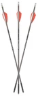Axe Crossbows AX10004 440 Combo Pack Gray/orange/white 19" 3 Bolts And New. Price: $79.99.