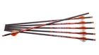 Ravin .003" Crossbows Arrows Bolts 400 Grain Carbon Construction 6 Units - R138 New. Price: $86.42.