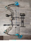 Diamond Carbon Knockout Rh 50# Compound Bow Package Used. Price: $499.00.