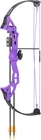 Bear Brave Youth Compound Bow Purple New. Price: $93.01.