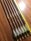 Victory Hlr Arrows - Elite .001 200 6PK 28.5 Inches New. Price: $79.90.