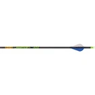 Gold Tip Hunter Xt Arrows 400 Raptor Vanes 12 Pk. New. Price: $139.99.