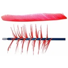 Trueflight Spiral Wrap Flu-flu Feathers Red Rw 100 Pk. New. Price: $55.93.