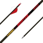 Gold Tip Hunter 340 Spine W/ 2'' Raptor Vanes (6PK). Price: $89.99.