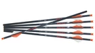 Pk - Ravin R18 16" 350 Grain .003" Crossbow Arrows R146 New. Price: $73.50.