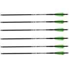 Xpedition Archery XIT-20 Crossbow Bolts 6-PACK, Six Carbon Shaft Recomm... New. Price: $82.75.