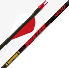 12 Gold Tip Hunter 500 Arrows Fletched 2" Rapt-x Vanes New. Price: $71.99.