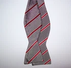 Designed For Alpha Sigma Phi Fraternity Gray Striped Silk 2-3/8" Bow Tie BT-53 Pre-owned. Price: $8.95.